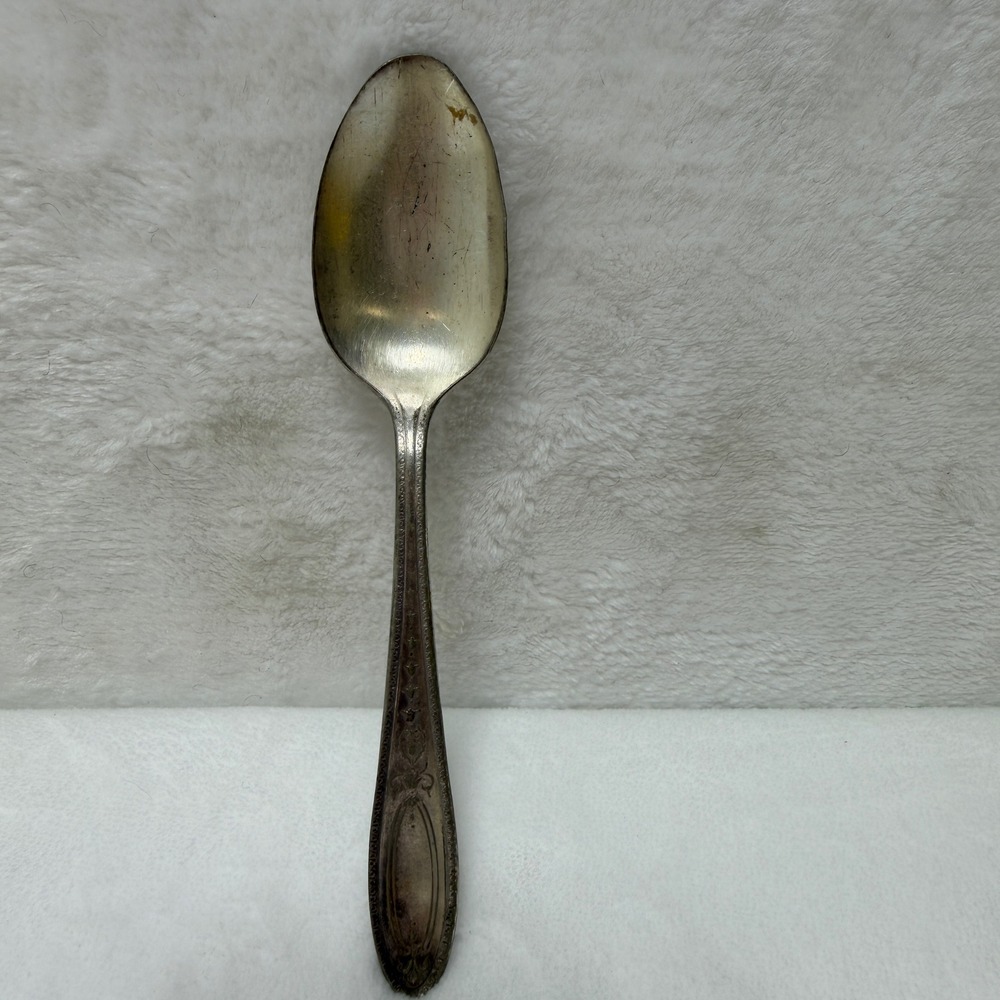 Oneida Community Par Plate Silverplate Teaspoon 6 Inch Vintage 1948 Flatware